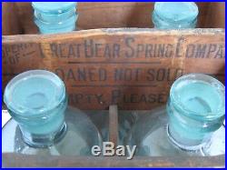 Antique Bear Spring Co. N. Y. 6 Glass Bottles in Original Crate
