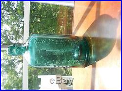 Antique Bottle Embossed G. W. Merchant Chemist Lockport N. Y. Swirls Seeds Aqua 7