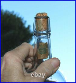 Antique Seneca Chief Whiskey Bottle Native American Indian Chief Waterloo Ny Old