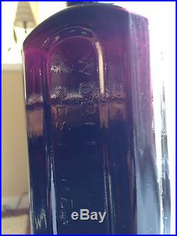 Beautiful Purple Puce Mrs S. A. Allens New York NY Worlds Hair Restorer