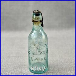 Excelsior Bottling Works Elmira NY Aqua Pony Soda Mineral Water Bottle