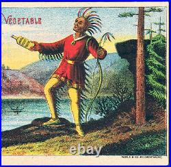 Indian Herb Remedy 1800's Davis Cure Vincents Medicine Rochester NY Trade Card