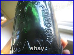 NICE TEAL CONGRESS EMPIRE SPRING SARATOGA WATER WithBUBBLES 1870'S ERA CLEAN L@@K