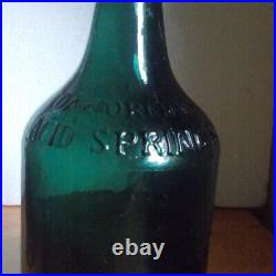 Oak Orchard Acid Springs G. W. Merchant Lockport Ny Pretty Green 1870 Minl Water