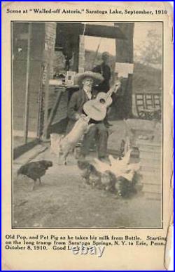 Old Pop Guitar Pig Drinks Milk From Bottle Astoria Saratoga Springs NY 1910 P169