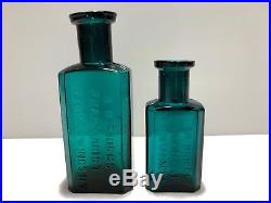 Rare! Only Known Examples N. B Briggs Pharmacist Bottle Clifton Springs, N. Y Mint