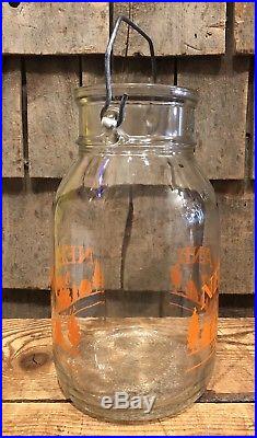 Rare Vintage NEELAND Dairy Farm Store Alden NY 1 Gallon Milk Glass Bottle Jug