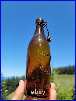 STellar Yellowish Amber W. E Drislane Co. New York Beer? Albany Liquor Bottle