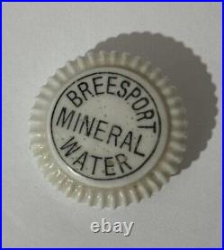 VERY RARE Procelain Breesport Mineral Water Top Utica NY Bottle Top