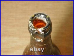Vintage E C Rosche Abc Sparkling Lager Albany Ny Brown Beer Bottle